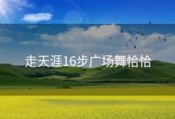 走天涯16步广场舞恰恰