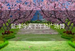 延津今天下午拍广场舞