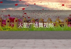 火苗广场舞视频