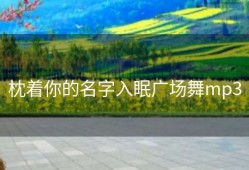 枕着你的名字入眠广场舞mp3