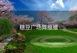 糖豆广场舞瘦腰
