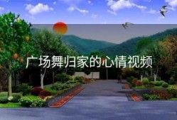 广场舞归家的心情视频