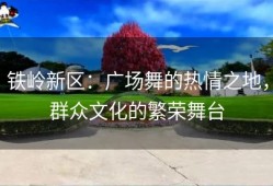 铁岭新区：广场舞的热情之地，群众文化的繁荣舞台
