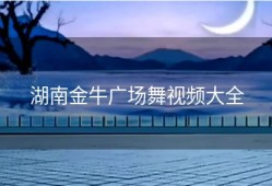 湖南金牛广场舞视频大全