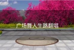 广场舞人生路翻唱