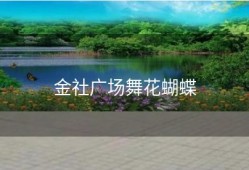 金社广场舞花蝴蝶