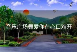 音乐广场舞爱你在心口难开