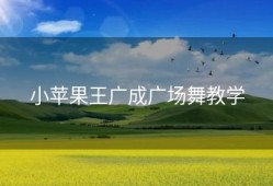 小苹果王广成广场舞教学