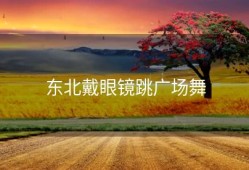 东北戴眼镜跳广场舞