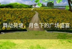 舞动荷塘，月色下的广场盛宴