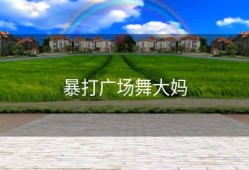 暴打广场舞大妈