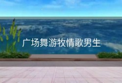 广场舞游牧情歌男生