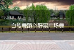 白族舞蹈心肝票广场舞