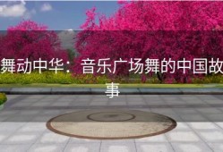 舞动中华：音乐广场舞的中国故事