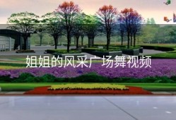 姐姐的风采广场舞视频