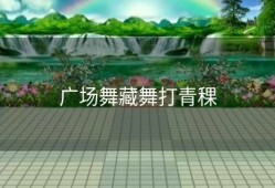 广场舞藏舞打青稞