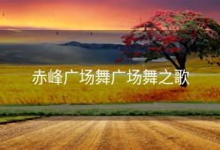 赤峰广场舞广场舞之歌