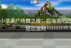 小苹果广场舞之夜：后海酒吧的狂欢派对