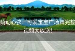 萌动心弦：可爱宝宝广场舞完整视频大放送！