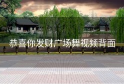 恭喜你发财广场舞视频背面