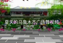 夏天的乌鲁木齐广场舞视频