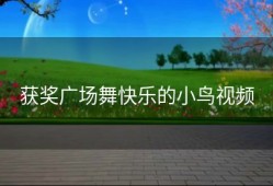 获奖广场舞快乐的小鸟视频