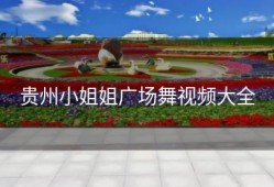 贵州小姐姐广场舞视频大全