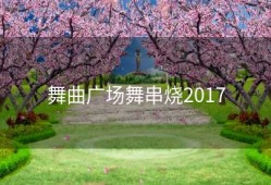 舞曲广场舞串烧2017