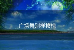 广场舞别样枚槐
