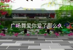 广场舞爱你爱了那么久
