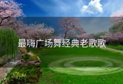 最嗨广场舞经典老歌歌