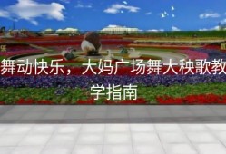 舞动快乐，大妈广场舞大秧歌教学指南