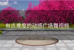 有点难度的动感广场舞视频