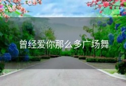 曾经爱你那么多广场舞