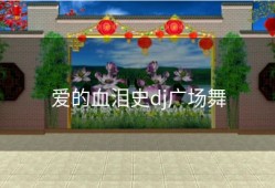 爱的血泪史dj广场舞