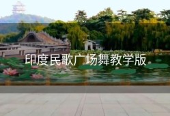 印度民歌广场舞教学版