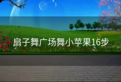 扇子舞广场舞小苹果16步