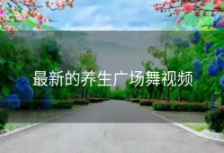 最新的养生广场舞视频