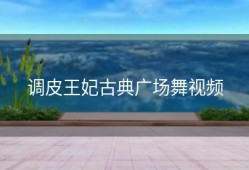 调皮王妃古典广场舞视频