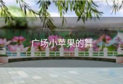 广场小苹果的舞