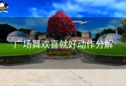 广场舞欢喜就好动作分解