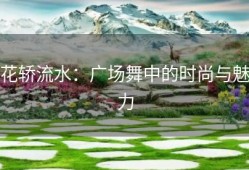 花轿流水：广场舞中的时尚与魅力