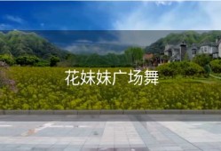 花妹妹广场舞