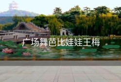 广场舞芭比娃娃王梅