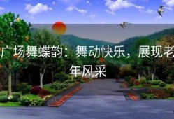 广场舞蝶韵：舞动快乐，展现老年风采