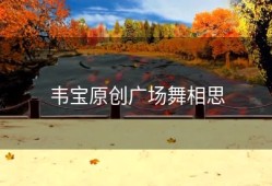 韦宝原创广场舞相思