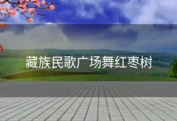 藏族民歌广场舞红枣树