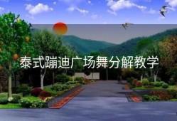 泰式蹦迪广场舞分解教学
