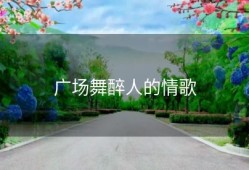 广场舞醉人的情歌