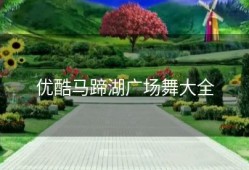 优酷马蹄湖广场舞大全